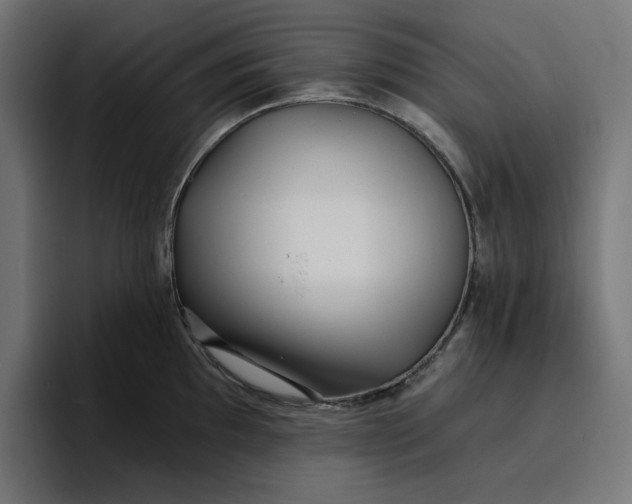 X0000096711097200802191503