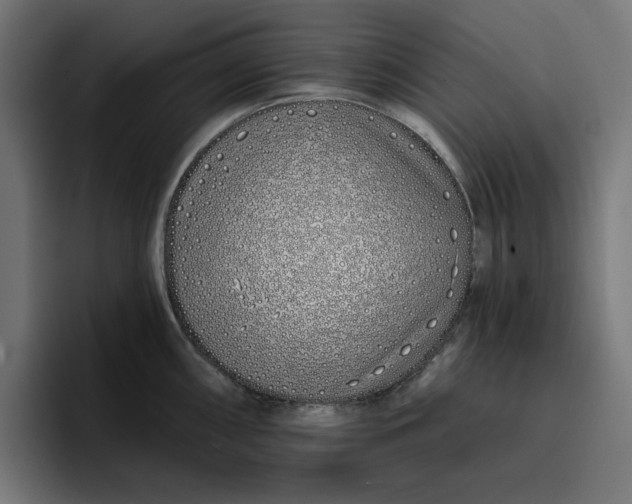 X0000096711098200802191503