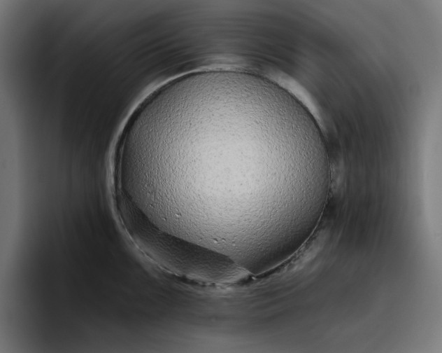 X0000096711099200802191503