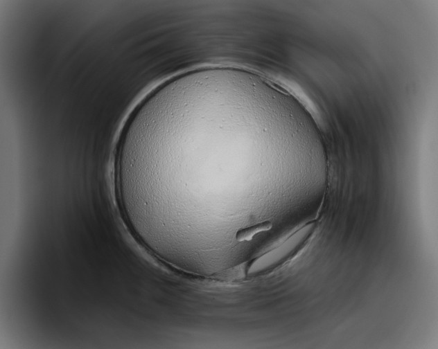 X0000096711100200802191503