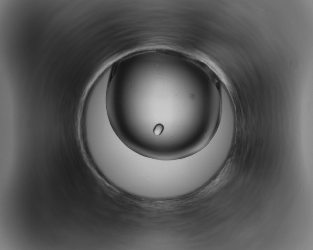 X0000096711101200802191503