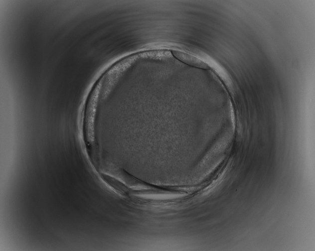 X0000096711102200802191503