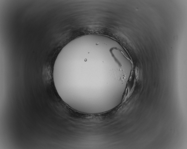 X0000096711107200802191502