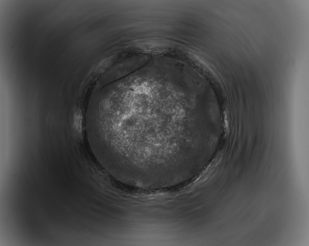 X0000096711108200802191502