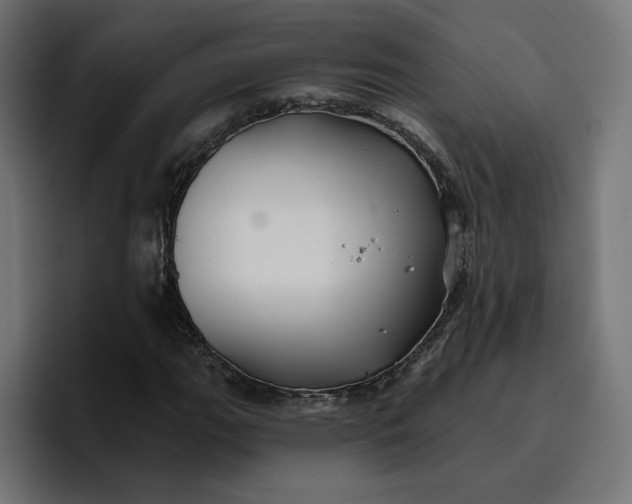 X0000096711111200802191503