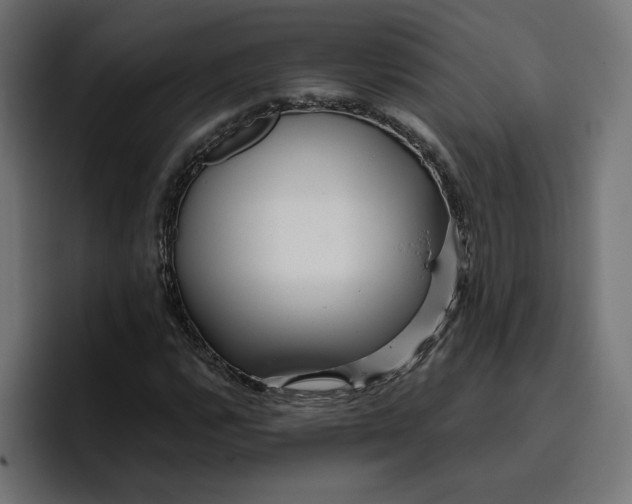 X0000096711112200802191503