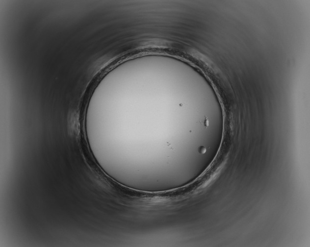 X0000096711113200802191503