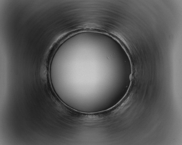 X0000096711115200802191503