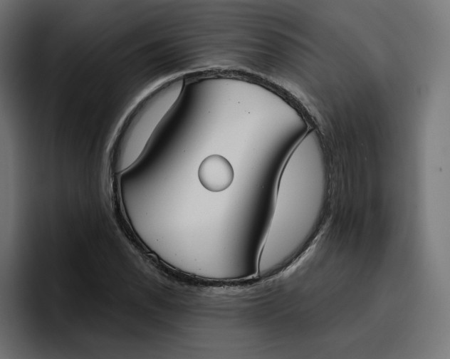 X0000096711118200802191503