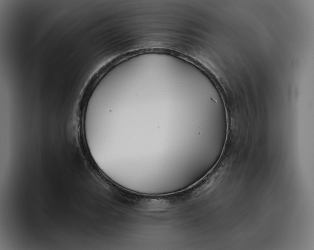 X0000096711119200802191503