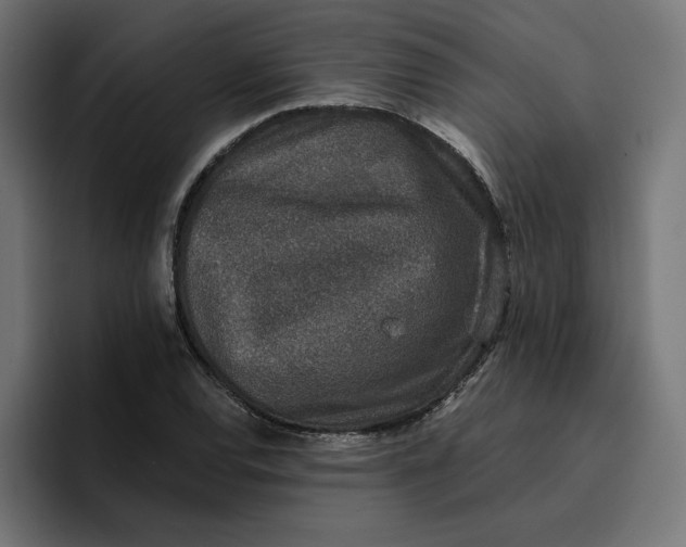 X0000096711120200802191503