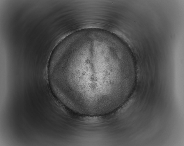 X0000096711121200802191503