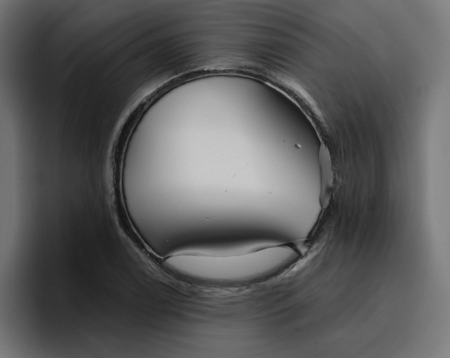 X0000096711122200802191503