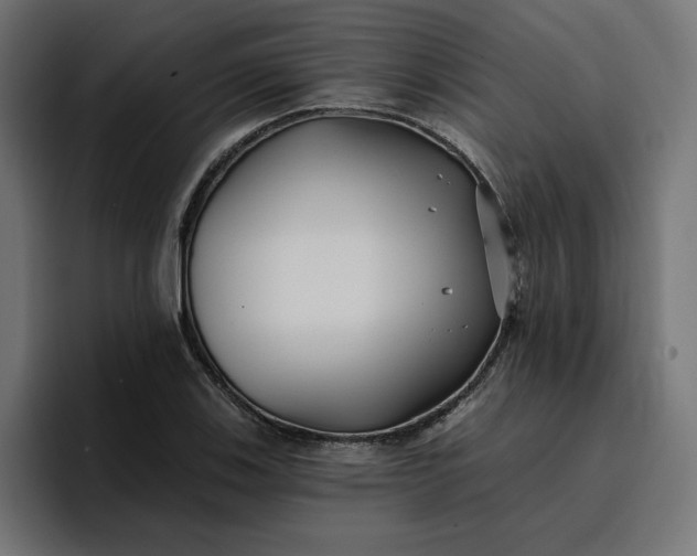 X0000096711123200802191503