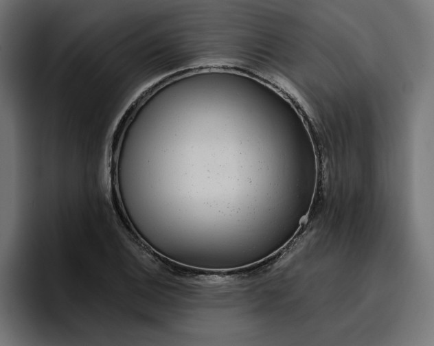 X0000096711124200802191503