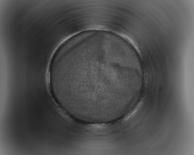 X0000096711125200802191503