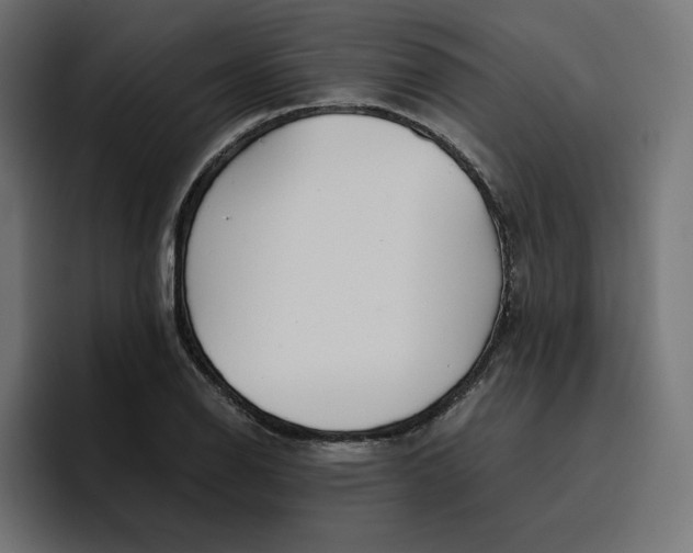 X0000096711126200802191503