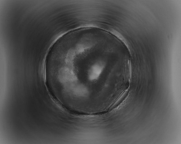 X0000096711127200802191503