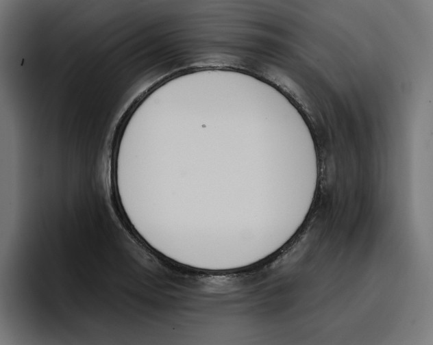 X0000096711130200802191503