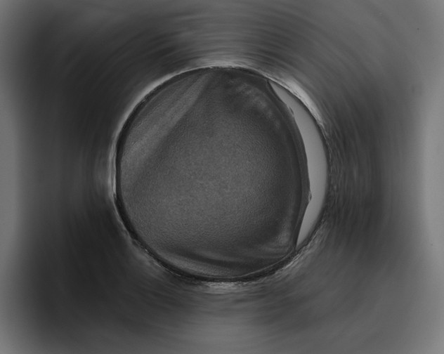 X0000096711132200802191503