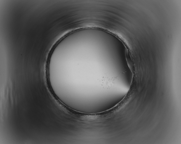 X0000096711134200802191503