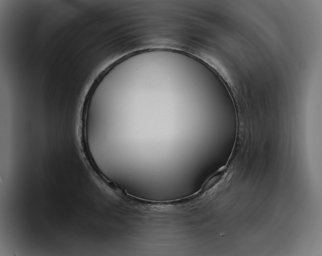 X0000096711136200802191503