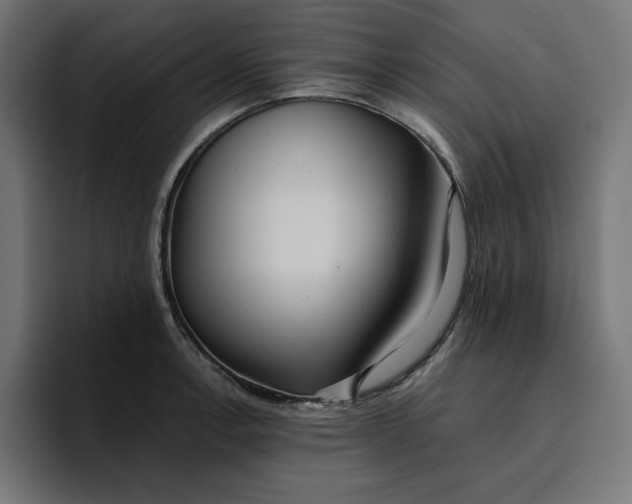 X0000096711138200802191503