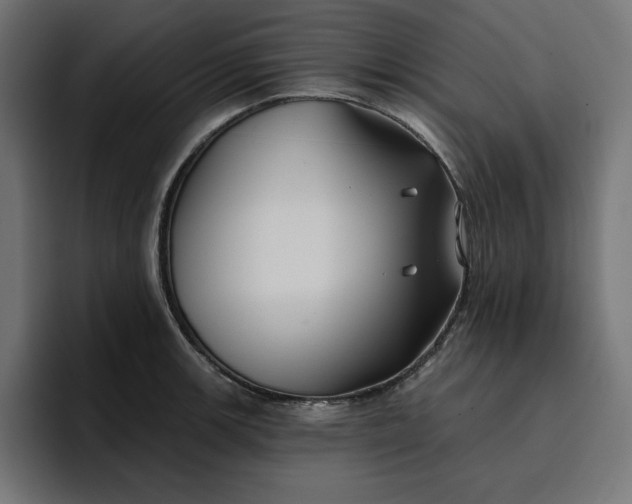 X0000096711139200802191503