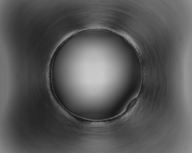 X0000096711142200802191503