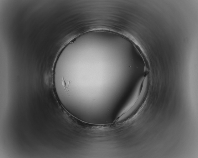 X0000096711145200802191503