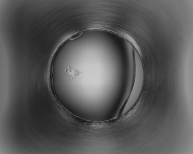 X0000096711146200802191503