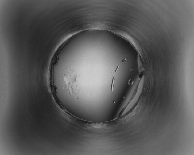 X0000096711147200802191503