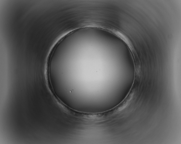 X0000096711149200802191503