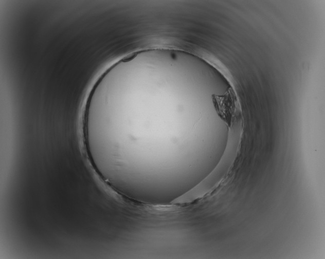 X0000096711152200802191503