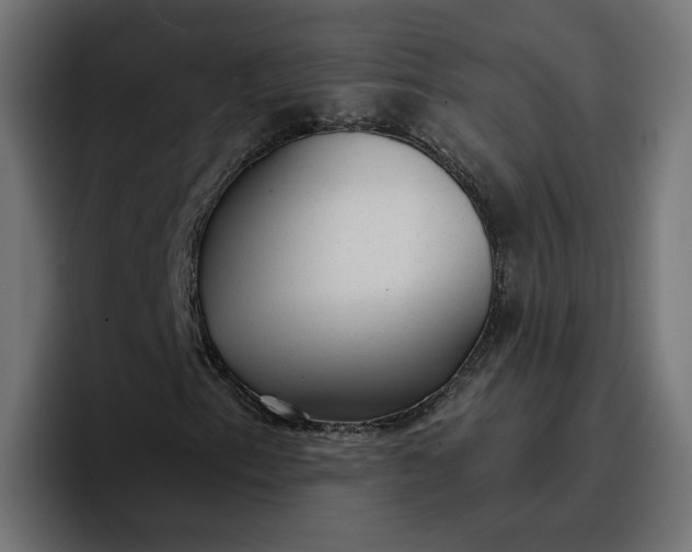 X0000096711153200802191502