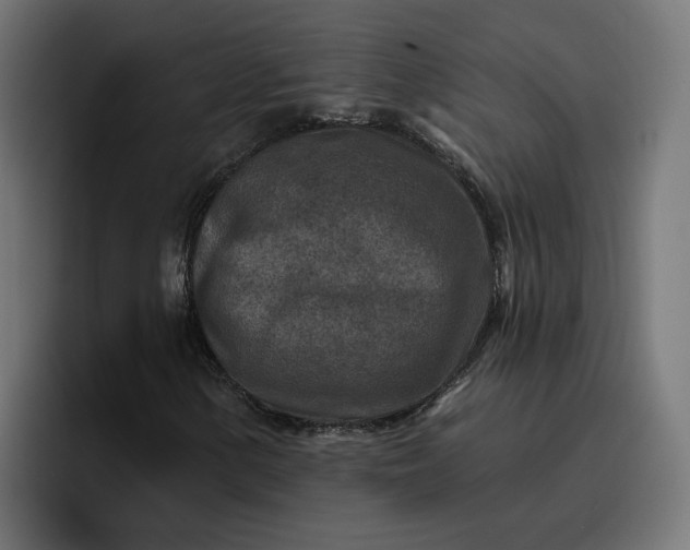 X0000096711154200802191502