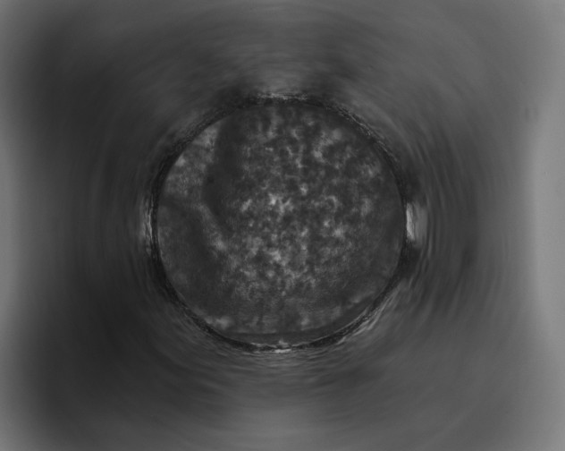 X0000096711155200802191502