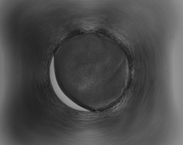 X0000096711156200802191502