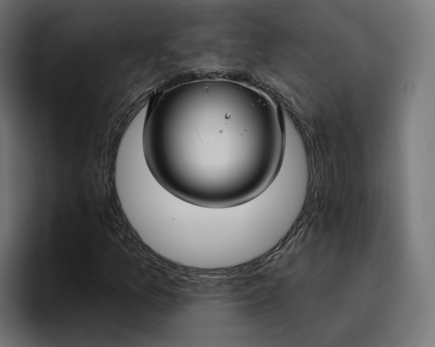 X0000096711157200802191502