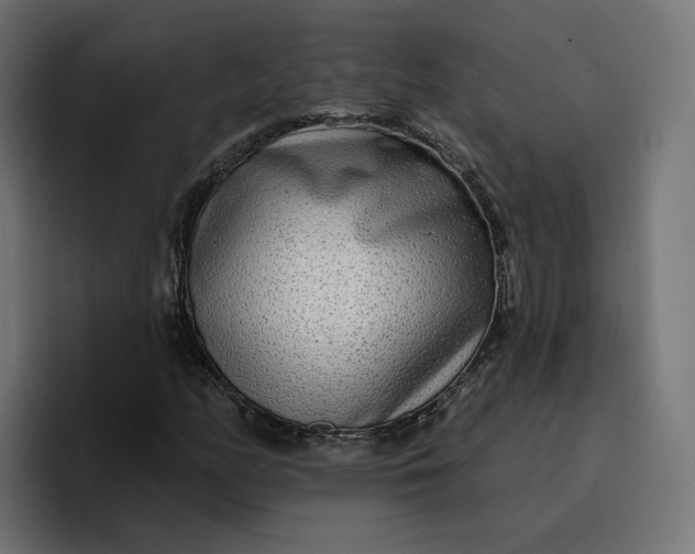 X0000096711158200802191502