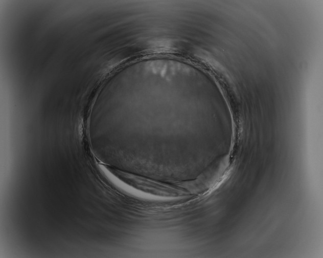 X0000096711161200802191502