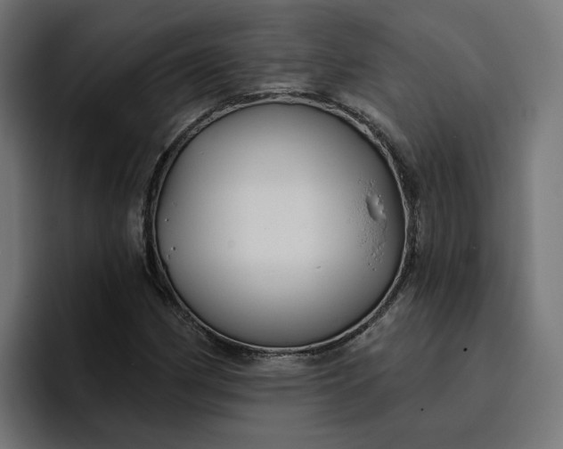 X0000096711162200802191502