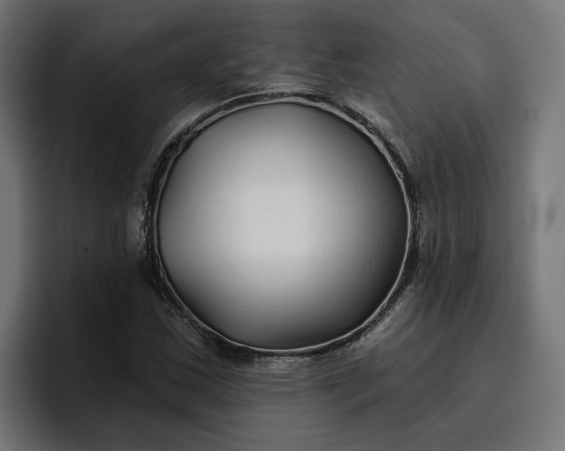 X0000096711163200802191502