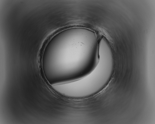 X0000096711164200802191502