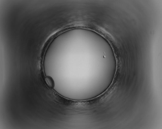 X0000096711166200802191502