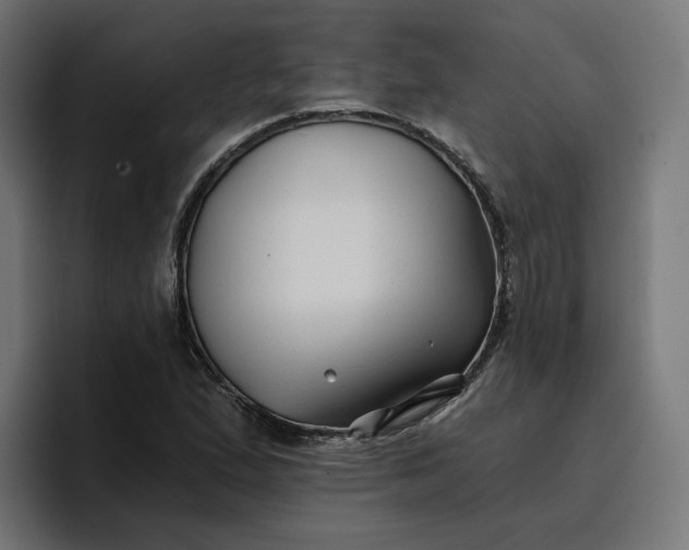 X0000096711167200802191502