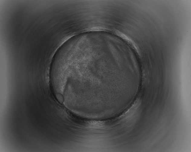 X0000096711170200802191502