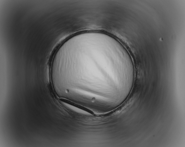 X0000096711171200802191502