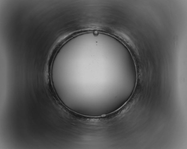 X0000096711172200802191502