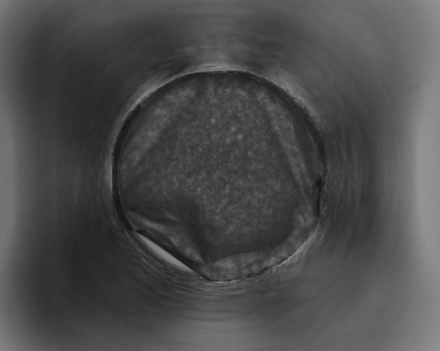 X0000096711173200802191502